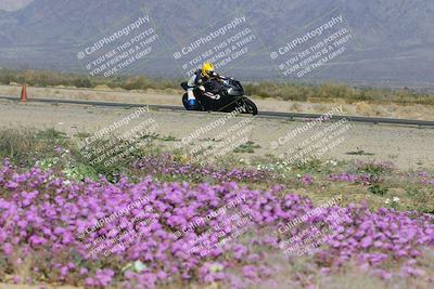 media/Feb-04-2023-SoCal Trackdays (Sat) [[8a776bf2c3]]/Turn 15 Inside Blooming (1050am)/